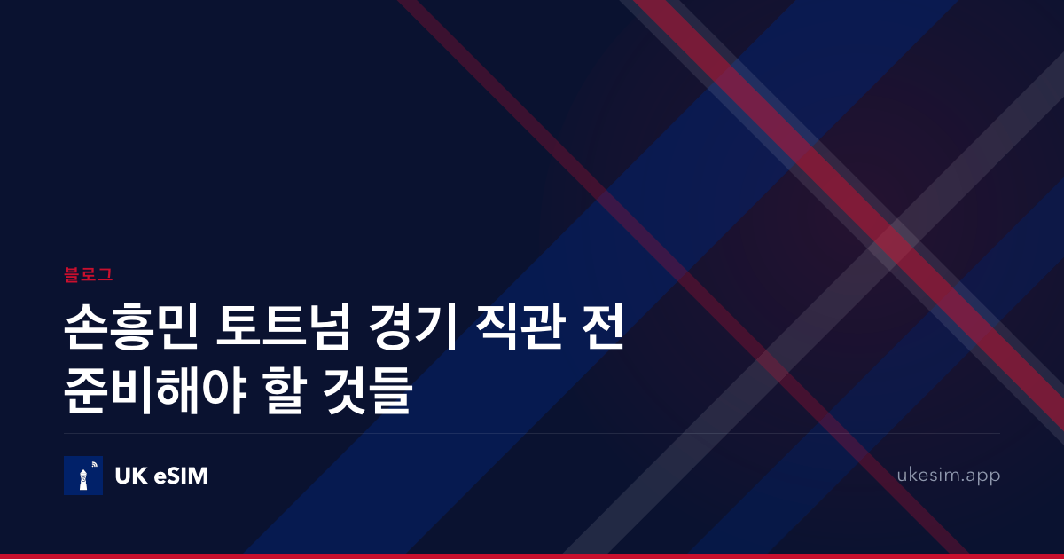 손흥민 토트넘 경기 직관 전 준비해야 할 것들